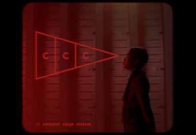Vinca Vision