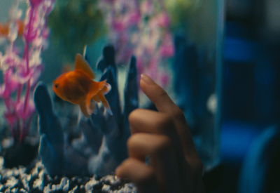 Fishtank