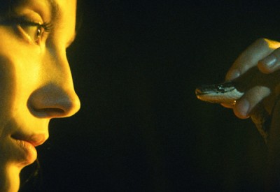 The Python Hunt