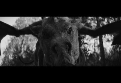 Em & Selma Go Griffin Hunting