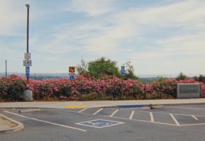 Zodiac Killer Project