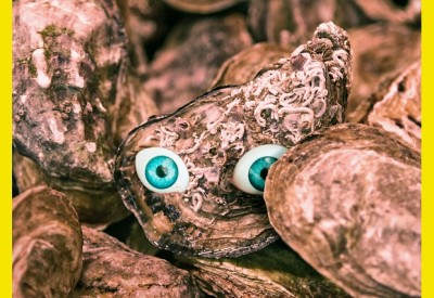 HCLM - Degustación variada