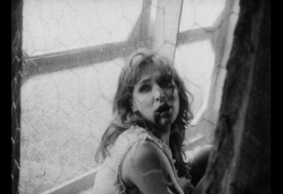 The Degenerates (1967)