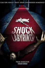The Shock Labyrinth