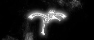 The Moonbird