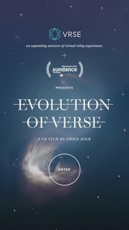 Evolution of Verse