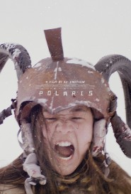 POLARIS