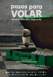 Pasos para Volar