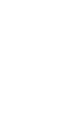 Marea Nocturna, logo