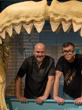 Víctor Metallano and Angel Sala